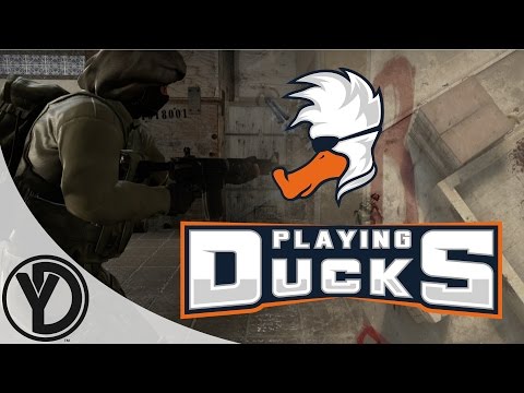 Playing Ducks LINEUP 2016