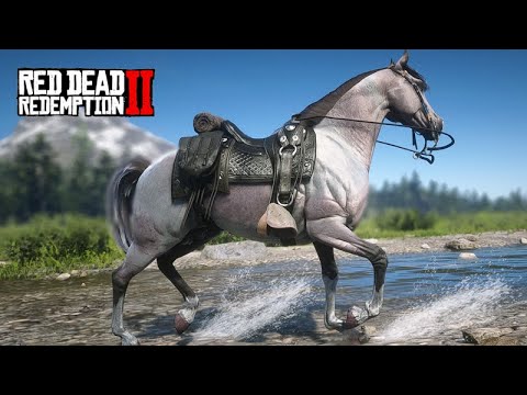 Criação de  PURO-SANGUE-ÁRABES - Mestre dos Cavalos - Red Dead Redemption 2 - Ep03