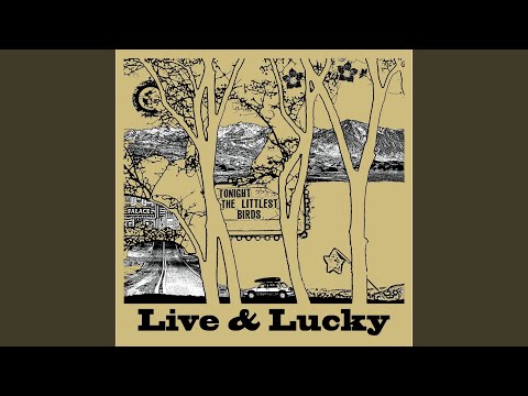 Storms - The Littlest Birds