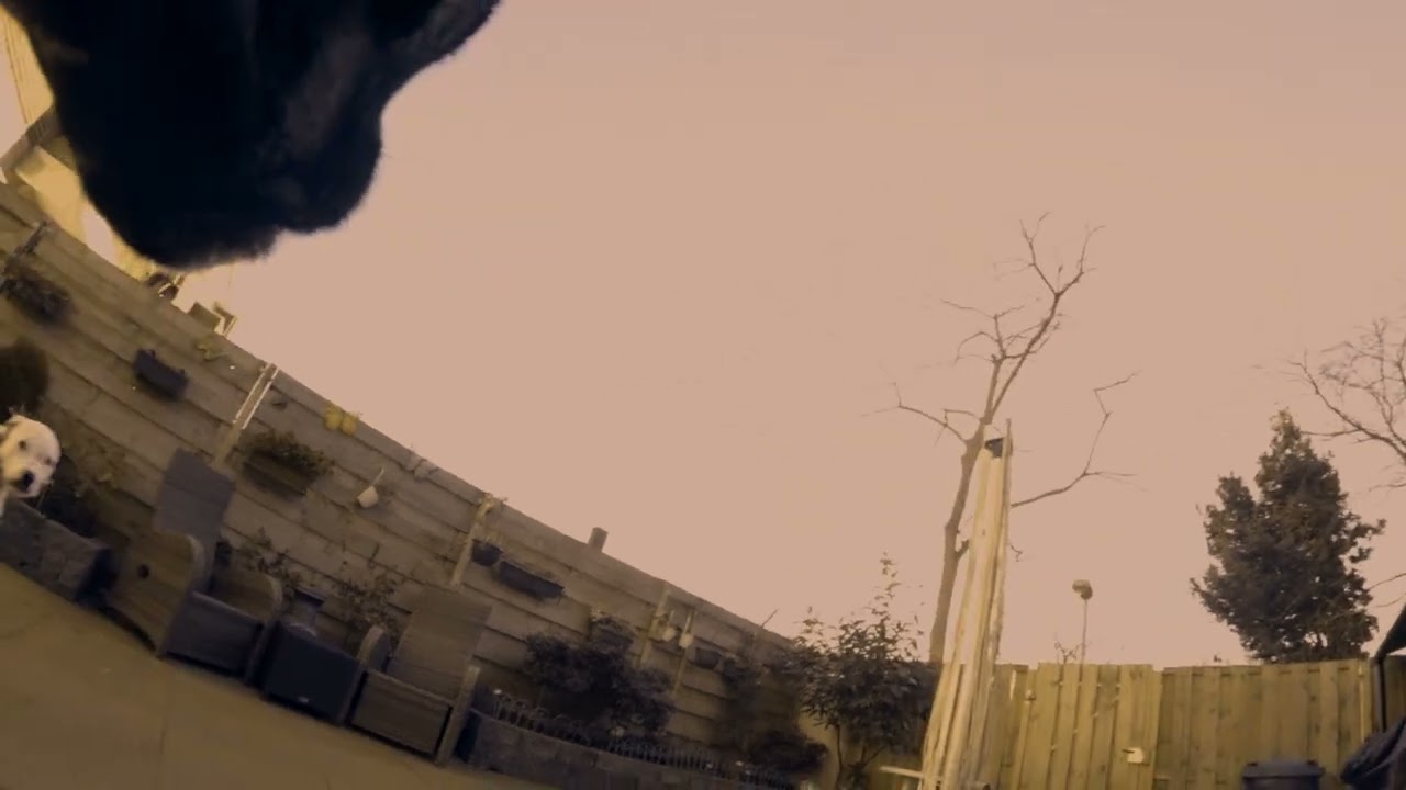 Placeholder from YouTube
