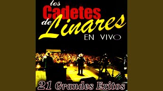 Corrido de los Pérez (En Vivo)