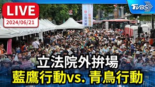 [問卦] 急！！！ 青鳥淋雨了 怎麼辦？