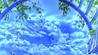 Franck Pourcel - L' Absent  (Le Jardin des Rêves)