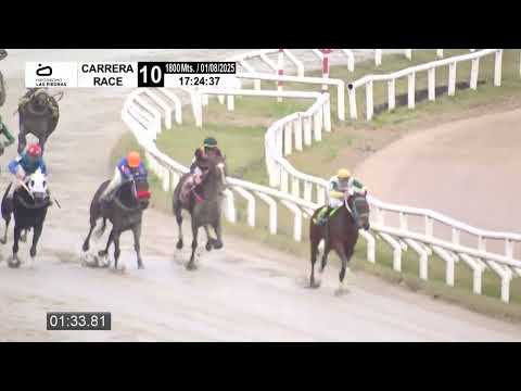 01/08/2025 – Las Piedras Racetrack – Lane 10 – MY STRONG DRINK (2024)