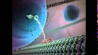 UNA CELLULA - FRANCO BATTIATO BY BUTTERFLY