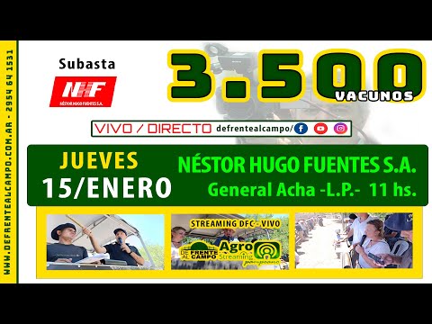en VIVO - 11 hs. - REMATE de NÉSTOR HUGO FUENTES S.A. - JUEVES 15 / ENERO / 2026 - GRAL. ACHA -L.P.-