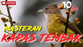 Download lagu MASTERAN KAPAS TEMBAK DURASI PANJANG 10 JAM, KAPAS TEMBAK NGEROL SUARA JERNIH, ISIAN BURUNG LOMBA mp3