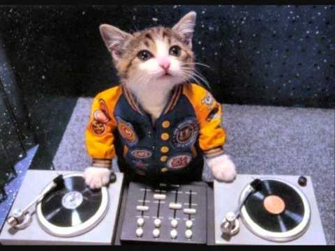 Special D - We are Raving (DJ Alone remix)