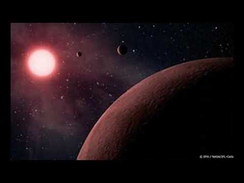 Shurickens -  Gde wot Ja