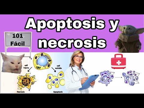 NECROSIS: RESUMEN
