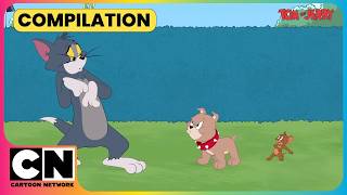 Download lagu Tyke’s Accidental Adventure!🐶🦋| Tom and Jerry😺| Cat & Mouse Cartoon😁| @cnindia ​ mp3