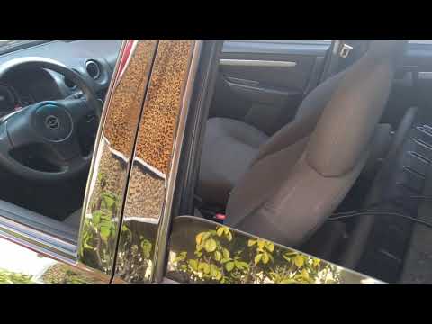 Prisma Tocando MC Kitinho TOMA TOMA