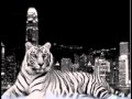 "Ancient Lover" by Tiger City