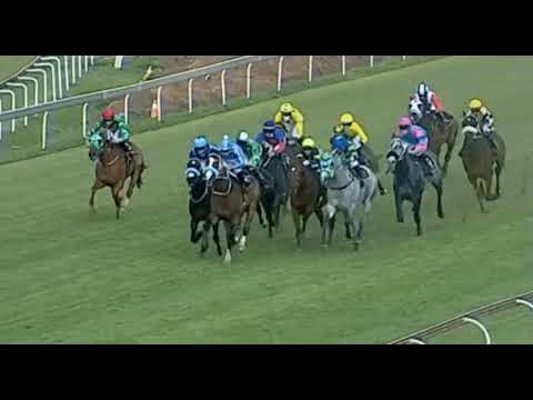 Christoper Robin - Victory Moon Stakes