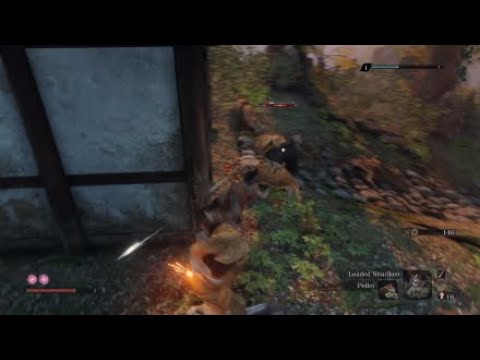 What 50+ Hours In Sekiro Look Like