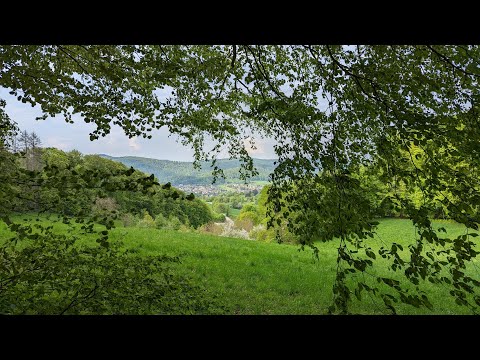 Heppenheim R2: Kirschenallee-Weg vom Wanderparkplatz an der Lee in 4K
