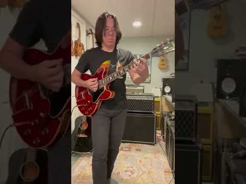 Every Gibson ES-335 Player in 25 seconds #shorts