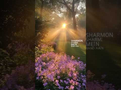 #ringtone 😚🌺#song haule haule 😚🧿 please like subscribe 🙏🧿