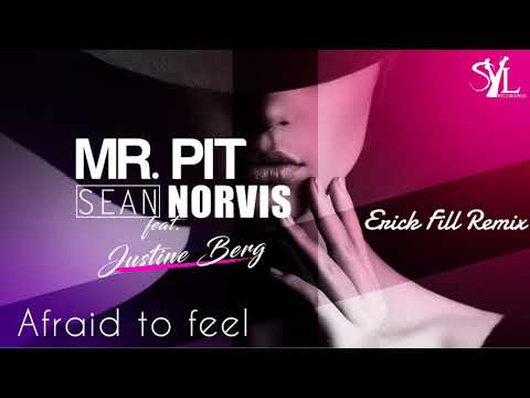 Mr. Pit & Sean Norvis feat. Justine Berg - Afraid to feel | Erick Fill Remix