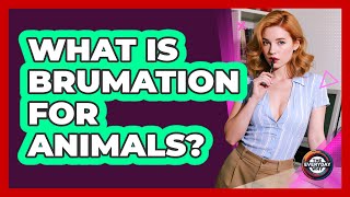 What Is Brumation For Animals? - The Everyday Why