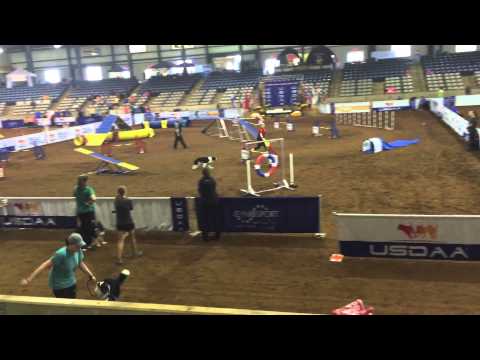 Kayl McCann GP Quarter Final at Cynosport 2015
