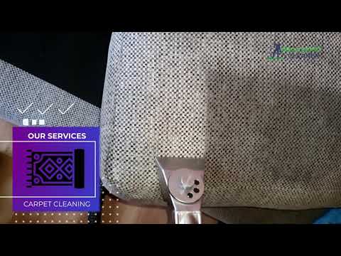 Pro Carpet Cleaner video.