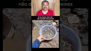 O rio secou mas ele não desistiu de salvar os peixes #shorts