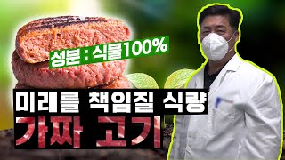 인류의 환경과 식량 부족 문제를 책임질 미래 식량 [황금나침반] / YTN 사이언스