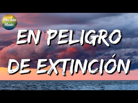 🎼 [Banda Romántica] La Adictiva || En Peligro De Extinción, Esta Es Tu Canción (Letra\Lyrics)