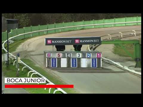 Boca Junior - BGBF British Breeders Stakes - Heat 1