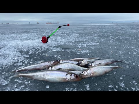 Фото Зимняя рыбалка на корюшку | Ловля корюшки на дамбе Финского залива | Февраль 2021