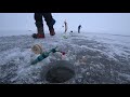 Фото Зимняя рыбалка на корюшку | Ловля корюшки на дамбе Финского залива | Февраль 2021