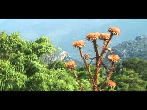 MONEMVASIA by driving