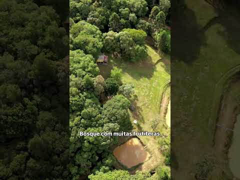 Chácara REGISTRADA com 11.971 m² em Quitandinha/PR, com ótimo acesso: 2,5 km de estrada de chão