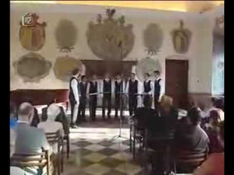 Gentlemen Singers  -Terra Musica