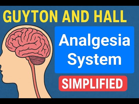 Analgesia System (Pain Suppression) | Explained from Guyton & Hall | Simplified Physiology