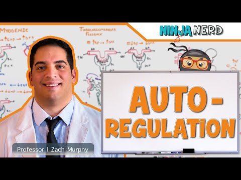 Renal | Autoregulation (Updated)