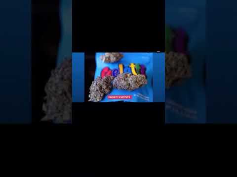 Cdott banks - GELATTI