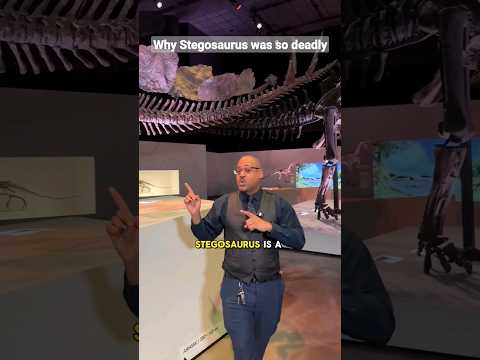 Stegosaurus was SERIOUSLY DEADLY #dinosaur #science #fossil