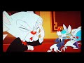 Pinky And The Brain Brain Vs Future Brain