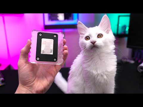 WEE(K)-Log #21: CPU Tools and new Family Member