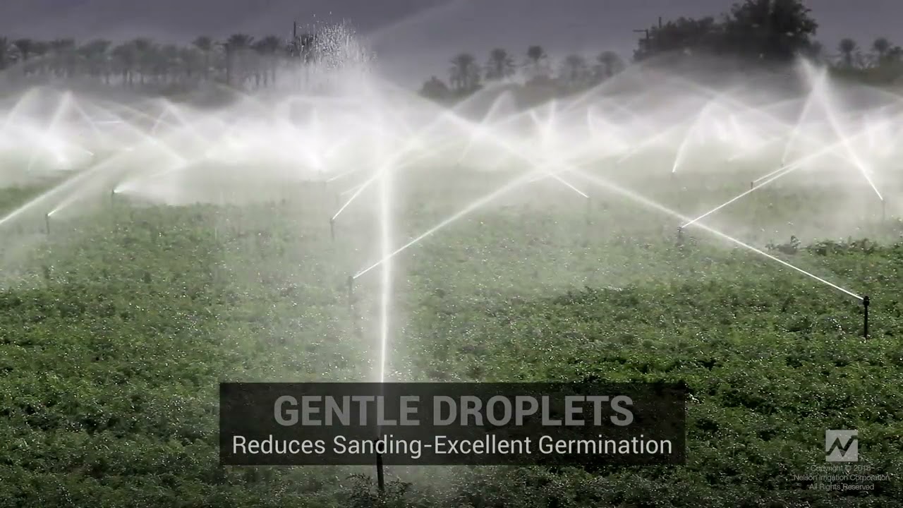 Nelson Rotator® R2000WF Windfighter Sprinklers