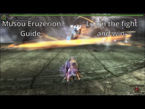 MHF-Z: Musou Eruzerion guide.