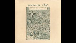 Pit Piccinelli / Fred Gales / Walter Maioli - Amazonia 6891 [1986] (Full Album)
