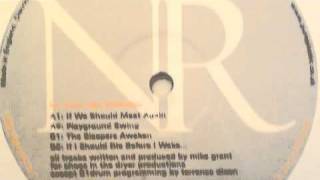 Mike Grant - The Sleepers Awaken (Neurhythmics Recordings NR007)