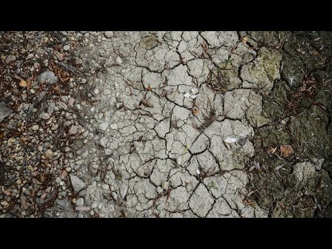 Ungarns Hitzesommer führt zu niedrigen Wasserpegeln und Ernteausfällen