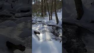 #shorts #river #brook #ice #snow #nature #walk #woods #water #relaxing