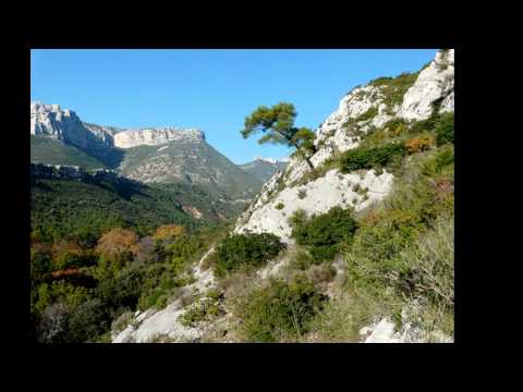 Anèm oc ! per la lenga occitana.