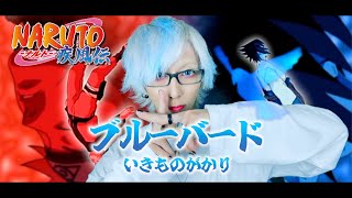 【NARUTO疾風伝 主題歌】ブルーバード/いきものがかりを歌ってみた(原曲キー) - ver.ましゅー￤Blue Bird￤