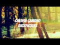 Childish Gambino - Backpackers